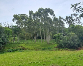 Grande Oportunidade! Vendo Área de terra com 4.3 alqueires em Matelândia - PR